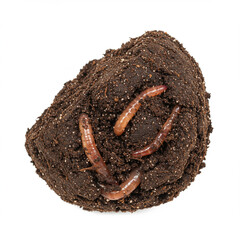 Soil Clod with Worm Castings on White: Healthy Soil Ecosystem Detail, 8k.