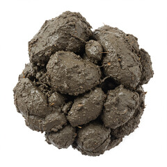 Detailed Photorealistic Clump of Sticky Clay Soil Isolated on White. High Detail.