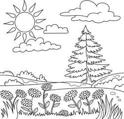 Sunny meadow with daisies and a pine tree under clouds field