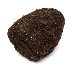 Perfect Rich Dark Topsoil Clod Isolated on White for Planting in High Detail. 