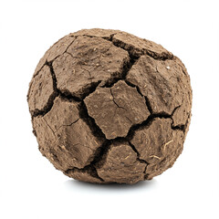 Detailed 8K close-up of a cracked soil clod on white, no shadows present.