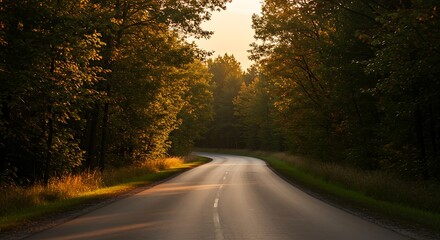 Fototapeta premium Winding road through a forest at sunrise or sunset with sunlit trees