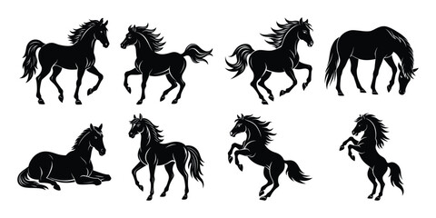 Silhouette of horses in different poses isolated on white background