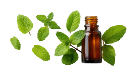 Fresh mint leaves and a small amber bottle