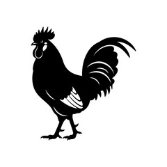 Black rooster silhouette standing on white background