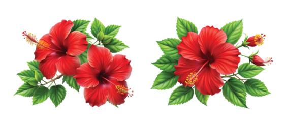 Red Hibiscus Vine: A vibrant red hibiscus vine with green leaves, sharp and photorealistic PNG.