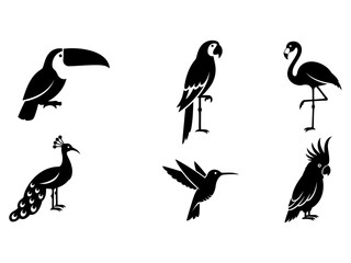 Tropical Birds Silhouettes Exotic Wildlife Collection for Graphic Designs and Crafts
