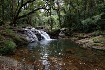 Obraz premium Tranquil waterfall cascading into a still pool in a lush forest