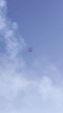 Frecce Tricolori Aerobatic Team Italian Air Force