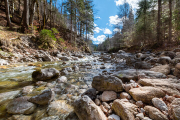 Rocky riverbed and clear mountain stream below Marienbrücke near Neuschwanstein Castle in Bavaria, Germany – scenic gorge with forest and sunlight