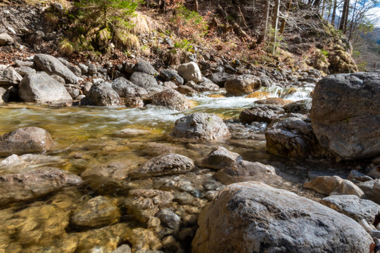 Rocky riverbed and clear mountain stream below Marienbrücke near Neuschwanstein Castle in Bavaria, Germany – scenic gorge with forest and sunlight - Powered by Adobe