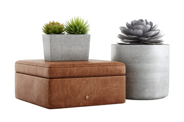 Indoor Succulent Arrangement in Gray and Brown Speckled Pots on Transparent Background Minimalist Still Life with Geometric Shapes Neutral Tones Home Decor