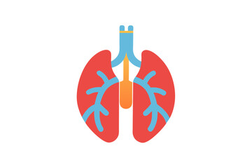anatomy of the human heart