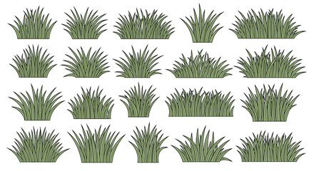 Various clumps of green ornamental grass in different shapes and sizes.