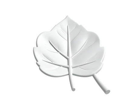 A white, stylized leaf with detailed veins, rendered in 3D against a black backdrop
