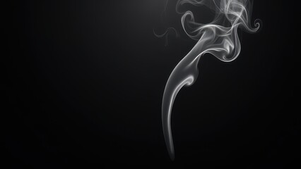 Fototapeta premium Abstract Smoke on black Background