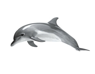 Fototapeta premium Lifelike dolphin illustration, with sleek grey body on a pure black background