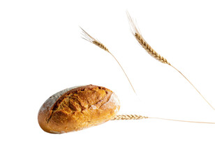 Crusty loaf of bread with wheat stalks against a black background