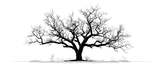 Silhouette of a dead tree vector illustration. Illustration of trees and branches without leaves
