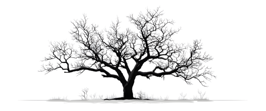 Silhouette of a dead tree vector illustration. Illustration of trees and branches without leaves