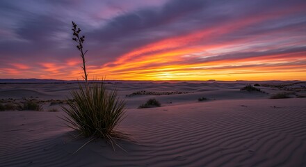 Vibrant sunset over desert landscape with plant silhouette and dramatic sky