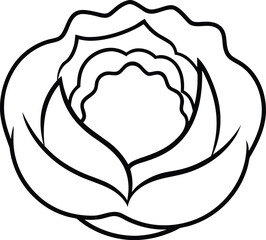 Simple Black and White Outline Illustration of a Cabbage Head