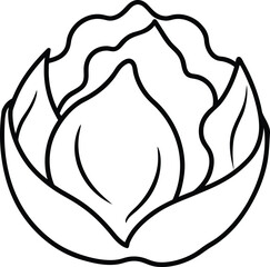 Simple Line Art Illustration of a Cabbage Head