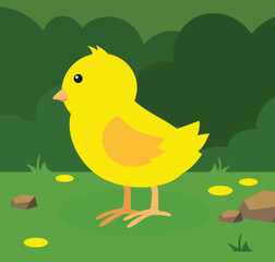 Cute yellow chicken on the grass. Vector illustration in flat style