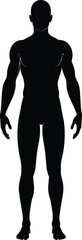 Male body silhouette vector, muscular man outline illustration, human anatomy figure design, fitness health posture, black man standing isolated graphic