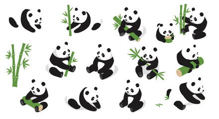 Fototapeta premium Playful pandas with bamboo in various poses on white background