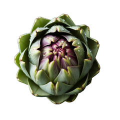 Obraz premium Fresh green artichoke with purple center on black background