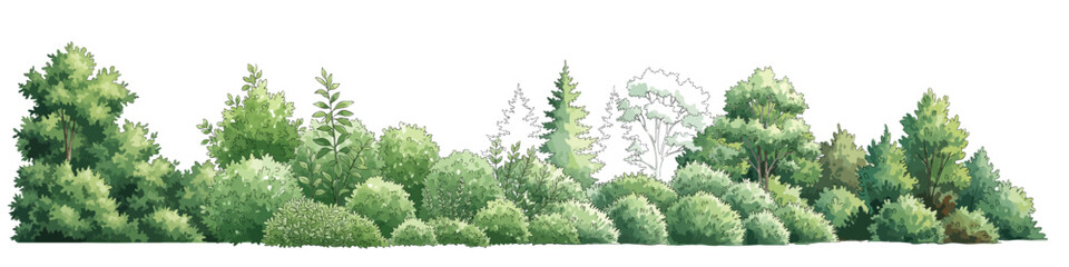 Fototapeta premium Vector watercolor green lush or forest side view isolated on white background for landscape and architecture drawing,elements for environment or and garden,Shrub for section