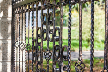 Ornamental Wrought Iron Fence. Metal Fence.