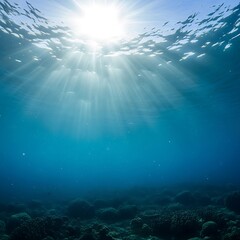 Fototapeta premium Ocean Sunlight Underwater Scene.