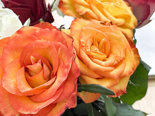 From above, we stare at roses glowing in orange and red. What a complete and serene crown