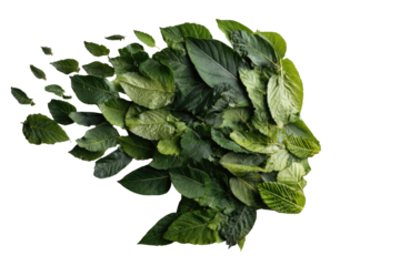 Green leaves form a stylized profile of a person's head