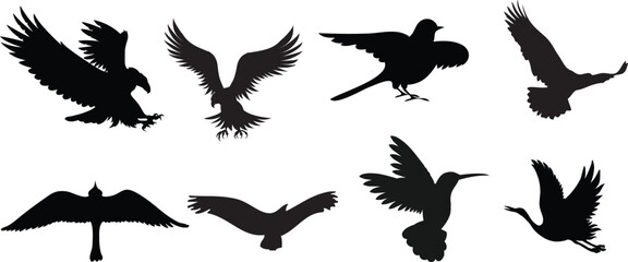 set of differents birds silhouette vector illustration