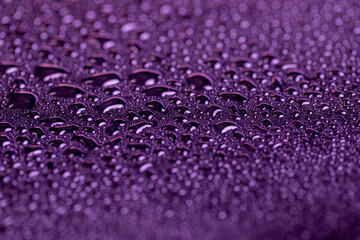 violet wet surface covered with a large number of water droplets violet surface