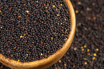 a large number of black rapeseed seeds are used to produce rapeseed oil, black rapeseed is used to produce food products, round wooden bowl filled with round rapeseed seeds