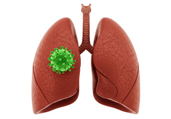 Isolated human lungs infected with a green virus particle representing a respiratory illness viral infection medical concept anatomy disease health pandemic
