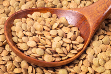 Lentils in wooden spoon, close-up, side view