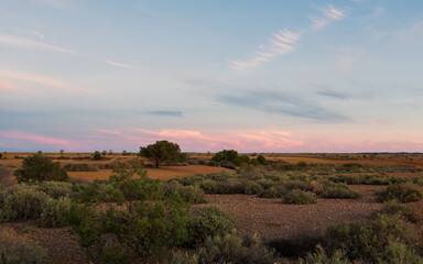 A serene sunset glows over the vast horizon of Sturt National Park, New South Wales, Australia, capturing the tranquil beauty of gibbers and hardy vegetation in the outback under a pastel sky.