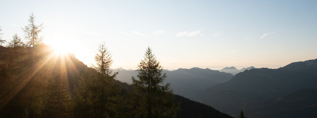 Panoramic alpine sunrise with sunburst, trees in silhouette and layered mountain ridges