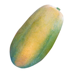 Papaya (Carica papaya) isolated on white background