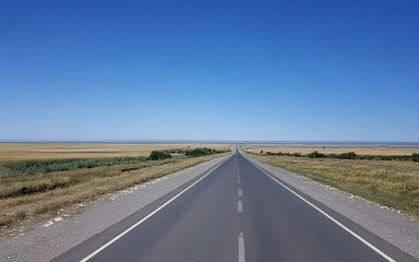 Fototapeta premium Open road through vast fields under clear blue sky