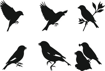 Silhouette illustration of small birds in flying, perching, and feeding poses with branches and leaves, isolated vector design elements