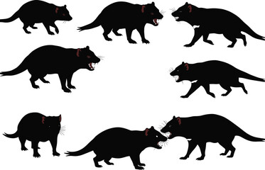 Vector illustration of Tasmanian devil silhouettes in multiple aggressive and walking poses, wild marsupial animal design for wildlife art decoration