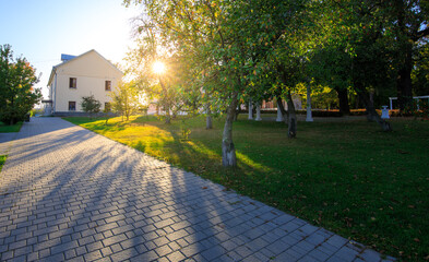 House with a driveway and a tree in front of it