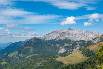 Naklejka premium Alpine forest landscape with panoramic view towards Mount Jenner in the Berchtesgadener Alps