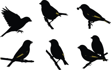 Vector illustration of bird silhouettes sitting and flying on branches with food, black and yellow shadow wildlife animal nature design artwork.